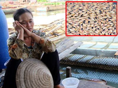 Ảnh bìa bài viết 337511