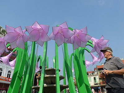 Ảnh bìa bài viết 338148