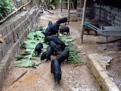 Ảnh bìa bài viết 338321