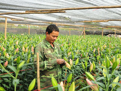 Ảnh bìa bài viết 338488