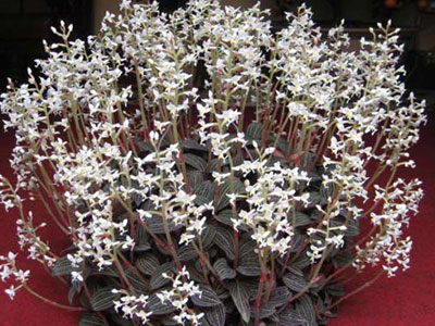 Ảnh bìa bài viết 338687