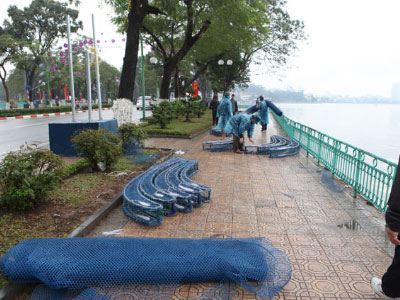 Ảnh bìa bài viết 339182