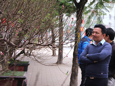 Ảnh bìa bài viết 339471