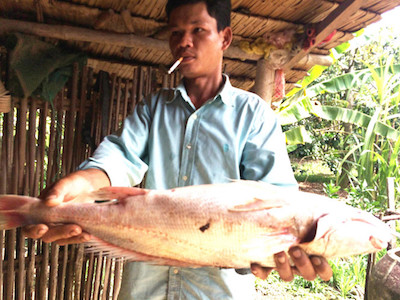 Ảnh bìa bài viết 340541