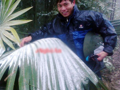 Ảnh bìa bài viết 340642