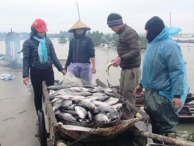 Ảnh bìa bài viết 341075