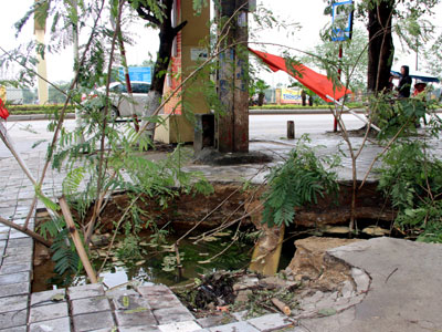 Ảnh bìa bài viết 341555