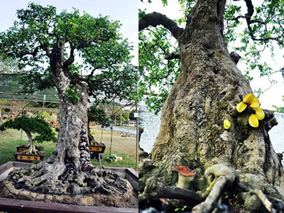 Ảnh bìa bài viết 341683