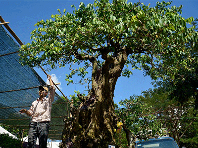 Ảnh bìa bài viết 341746