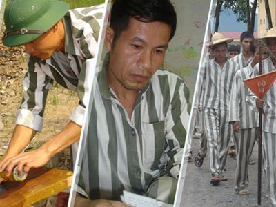 Ảnh bìa bài viết 341966