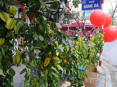 Ảnh bìa bài viết 342720
