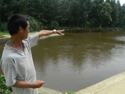 Ảnh bìa bài viết 342766