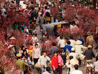 Ảnh bìa bài viết 343001
