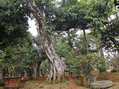 Ảnh bìa bài viết 343191