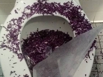 Ảnh bìa bài viết 343398