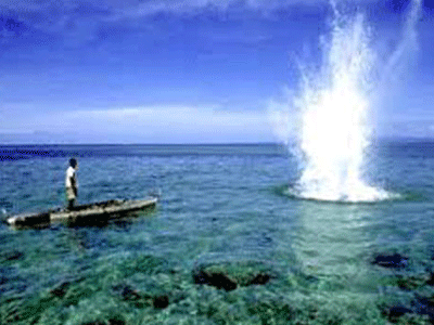 Ảnh bìa bài viết 343454