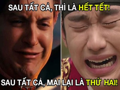 Ảnh bìa bài viết 343570
