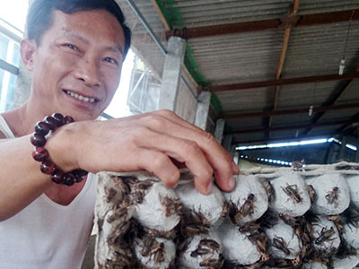 Ảnh bìa bài viết 343634