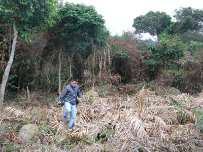 Ảnh bìa bài viết 346815