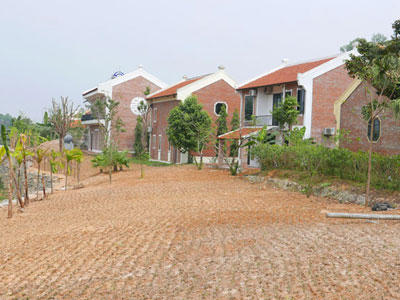 Ảnh bìa bài viết 347001