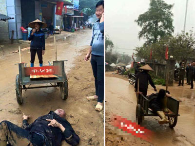 Ảnh bìa bài viết 347133
