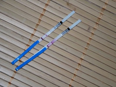 Ảnh bìa bài viết 347082