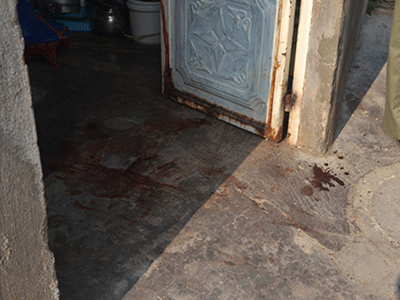 Ảnh bìa bài viết 347496