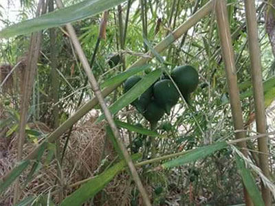 Ảnh bìa bài viết 348160