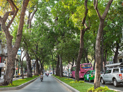Ảnh bìa bài viết 351130