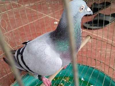 Ảnh bìa bài viết 352579