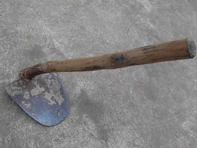 Ảnh bìa bài viết 352873