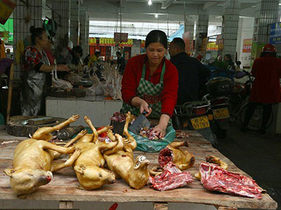Ảnh bìa bài viết 353166