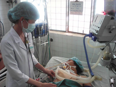 Ảnh bìa bài viết 353728