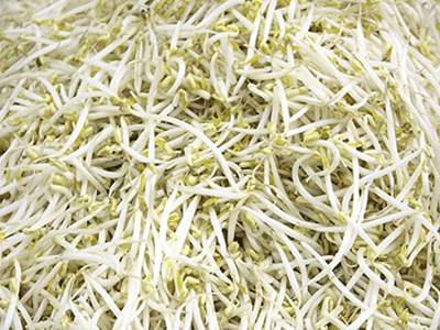 Ảnh bìa bài viết 353792
