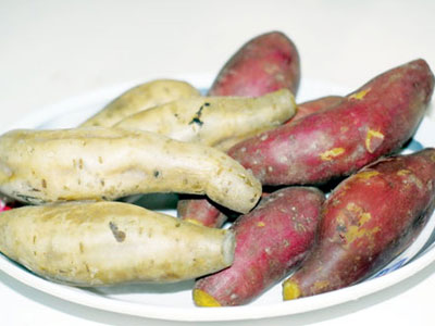 Ảnh bìa bài viết 354609
