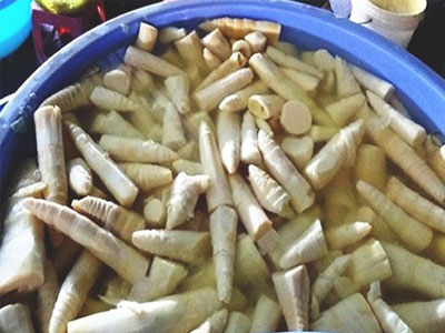Ảnh bìa bài viết 354385