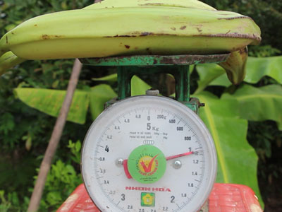 Ảnh bìa bài viết 355095