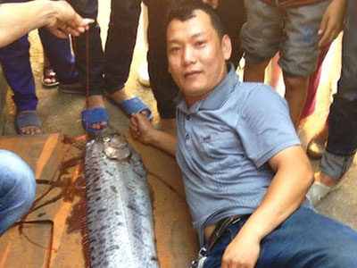 Ảnh bìa bài viết 355182