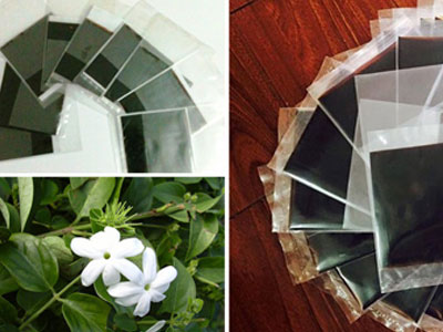 Ảnh bìa bài viết 355516