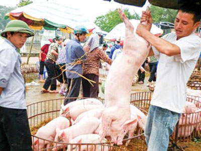 Ảnh bìa bài viết 356828