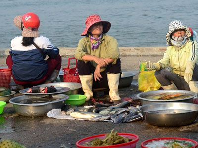 Ảnh bìa bài viết 357576