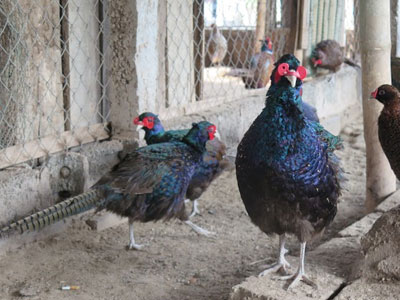 Ảnh bìa bài viết 357688