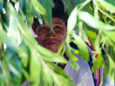 Ảnh bìa bài viết 359522