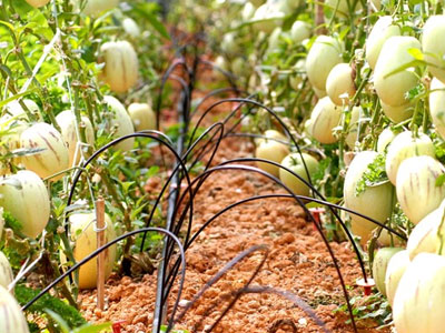 Ảnh bìa bài viết 359810