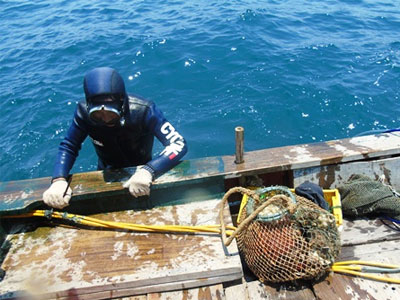 Ảnh bìa bài viết 360242