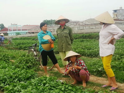 Ảnh bìa bài viết 361398