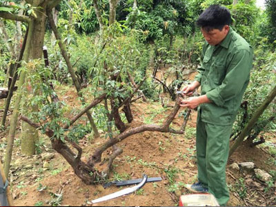 Ảnh bìa bài viết 362189