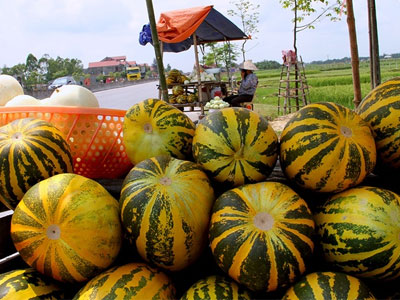 Ảnh bìa bài viết 362456