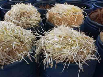 Ảnh bìa bài viết 362635