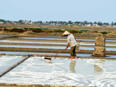 Ảnh bìa bài viết 362849